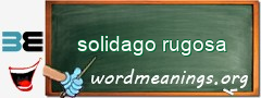 WordMeaning blackboard for solidago rugosa
